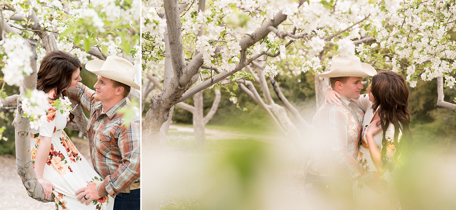 couple in the blossoms spring time engagements