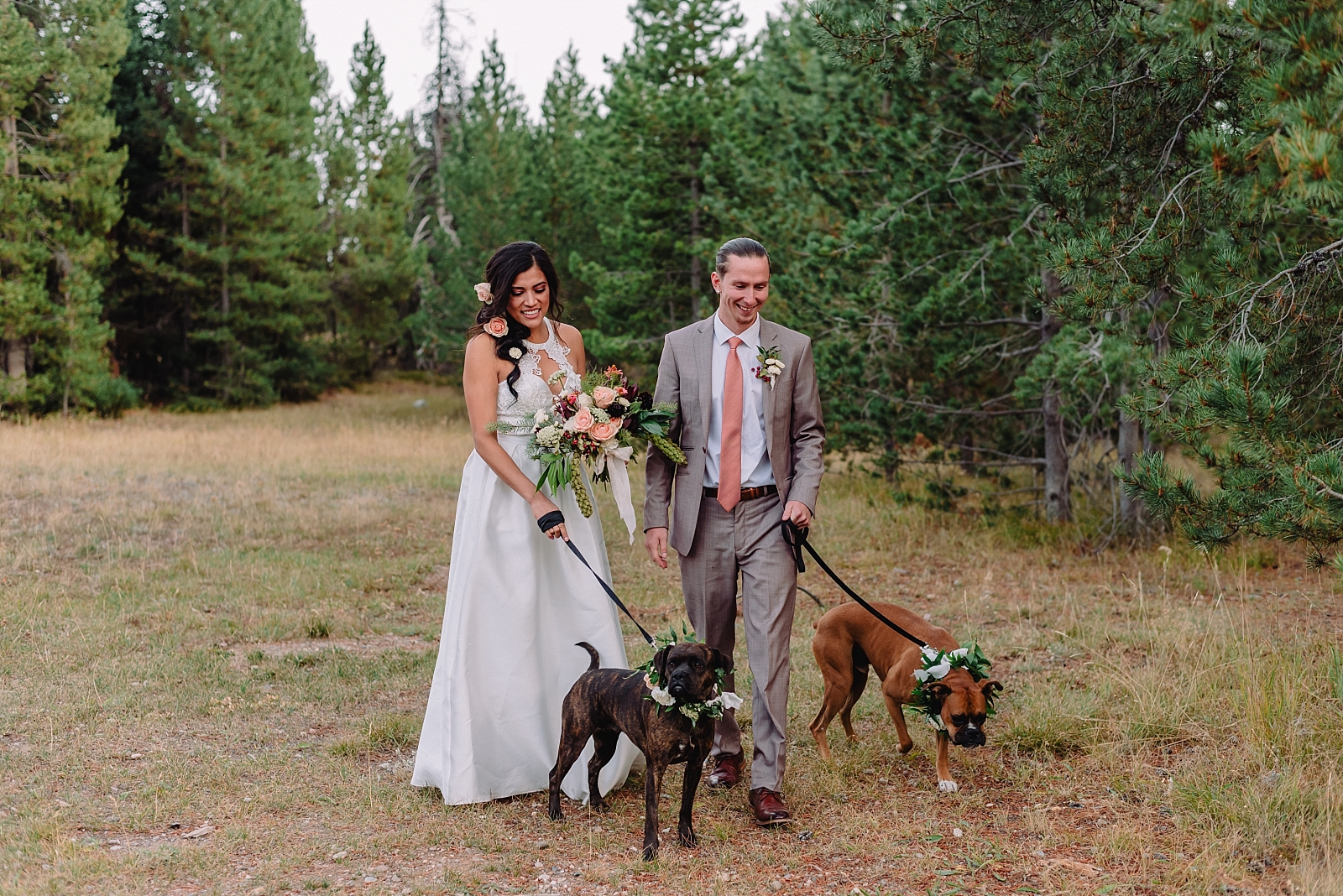 bride and groom walking with dogs