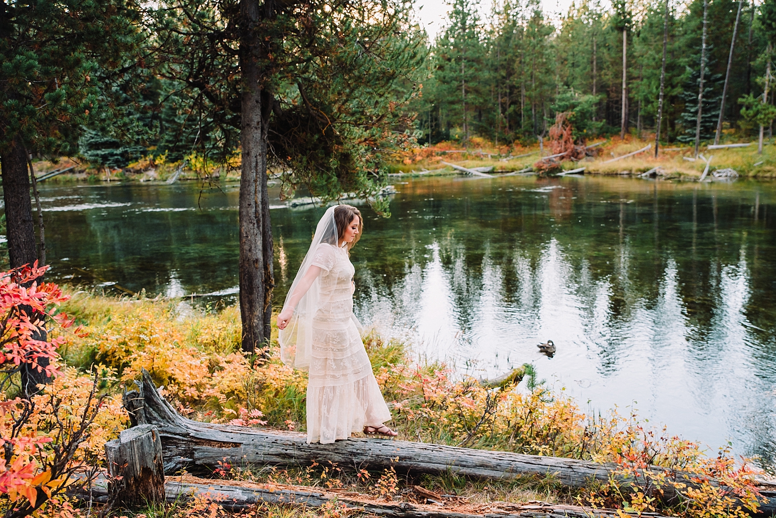 bride walking on log near water at Salt Lake Valley wedding