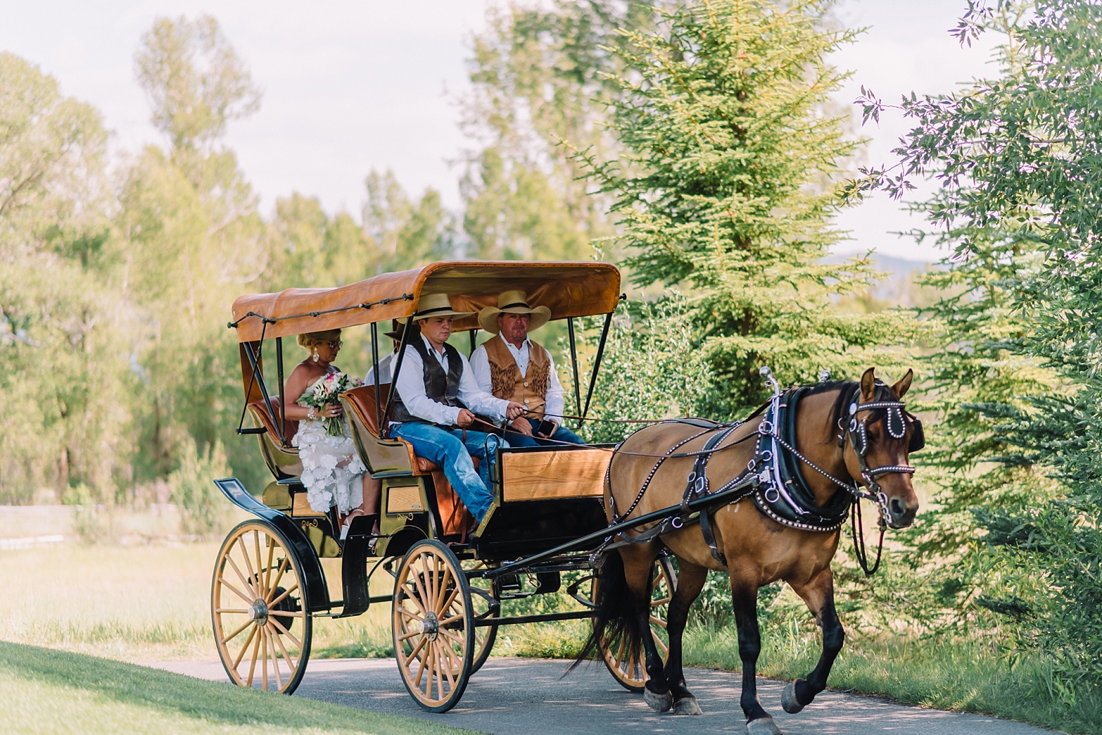 western carriage, bride arrives in carriage at jackson hole golf and tennis club