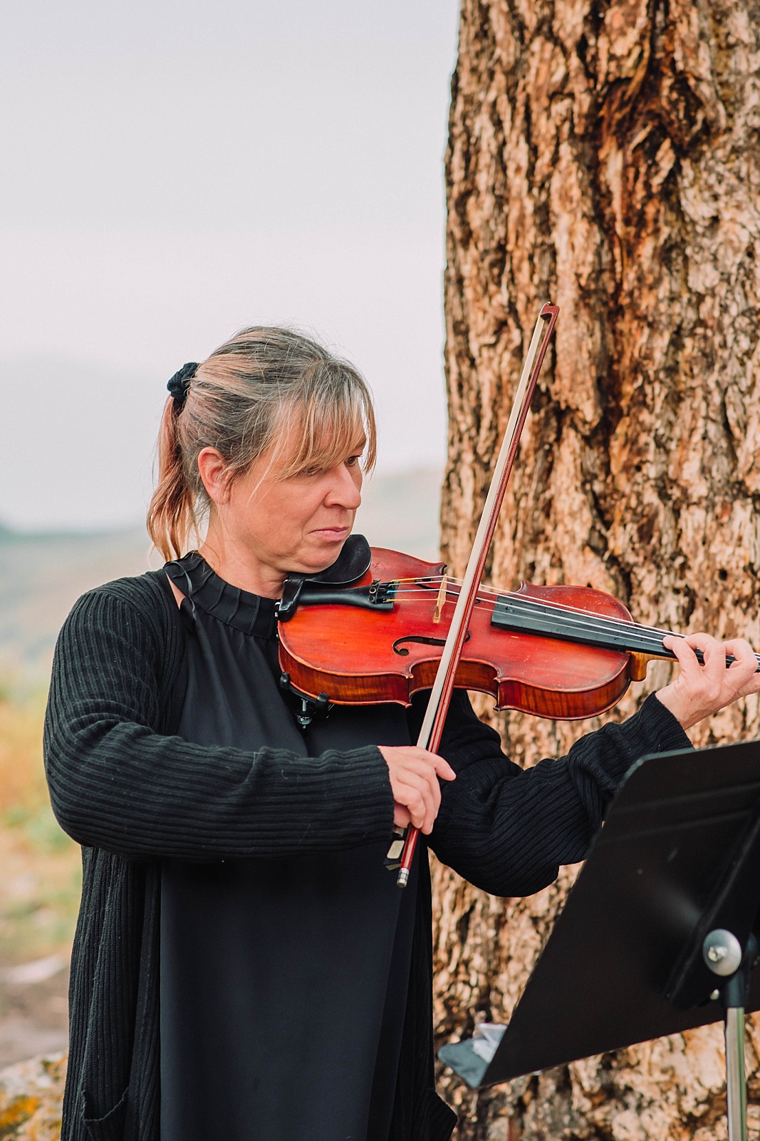 snake river strings performs during elopement in jackson hole wyoming wedding