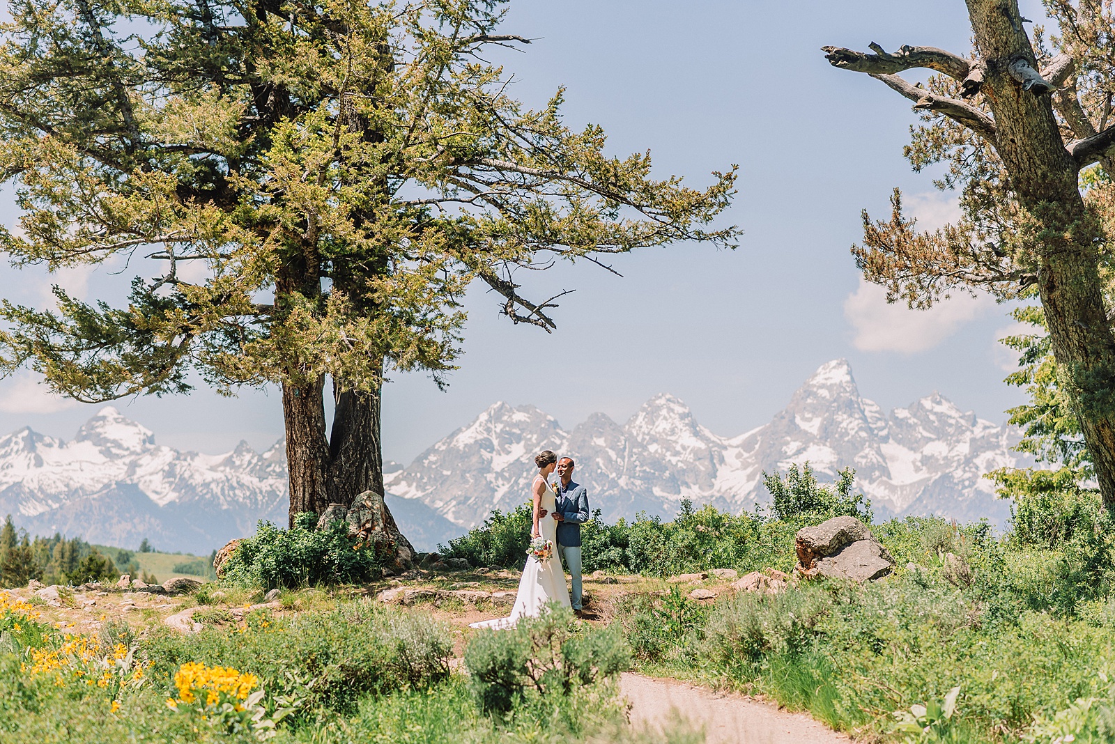intimate Jackson Hole wedding photography The Wedding Tree ceremony photos Wyoming Wyoming mountain elopement at Wedding Tree June wildflower wedding ceremony Grand Tetons Wedding Tree elopement photographer Grand Teton National Park wildflower bouquet mountain wedding photography