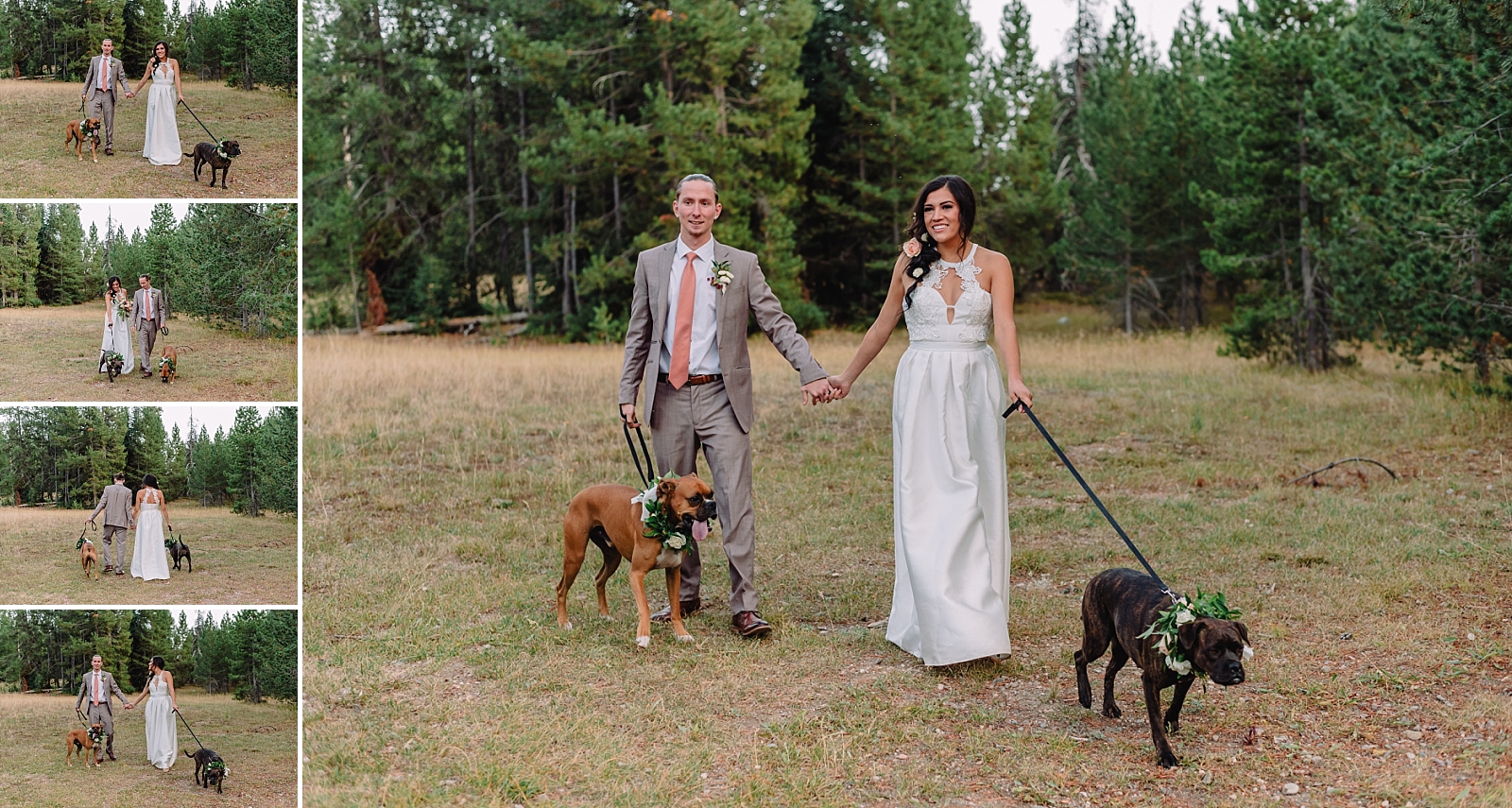 bride and groom dogs wedding portraits