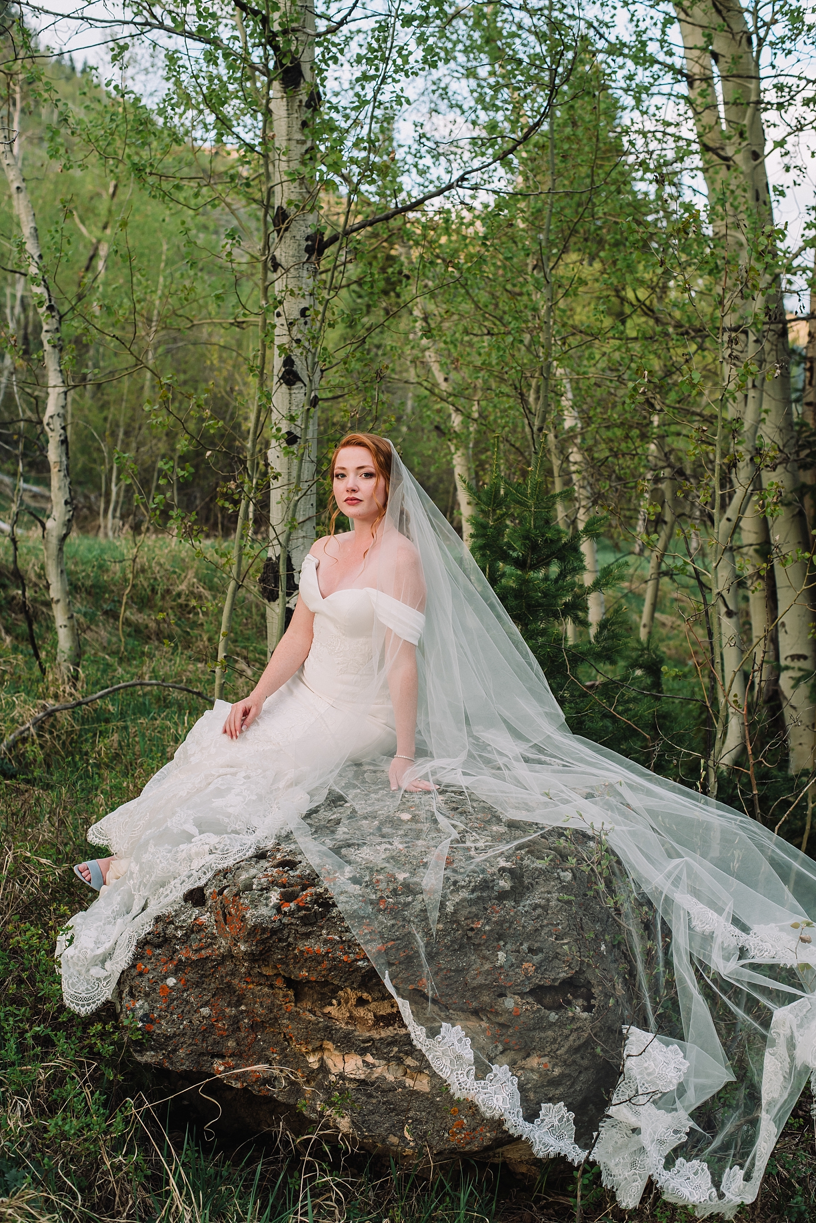 bride with veil and mermaid dress elegant timeless