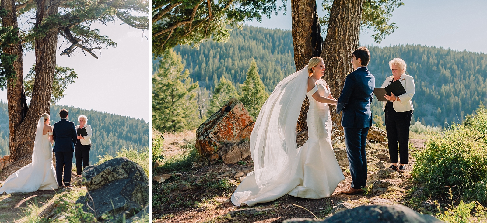 wedding ceremony, where to elope in jackson hole wyoming, The wedding tree in bridger-teton national forest