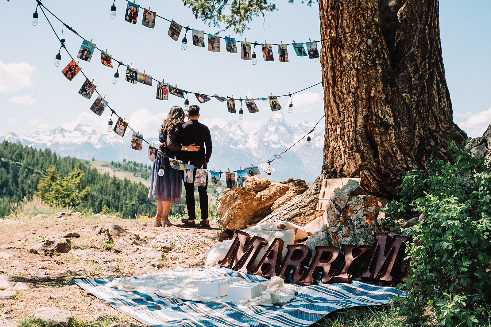 wedding tree destination proposal with photos hanging from tree