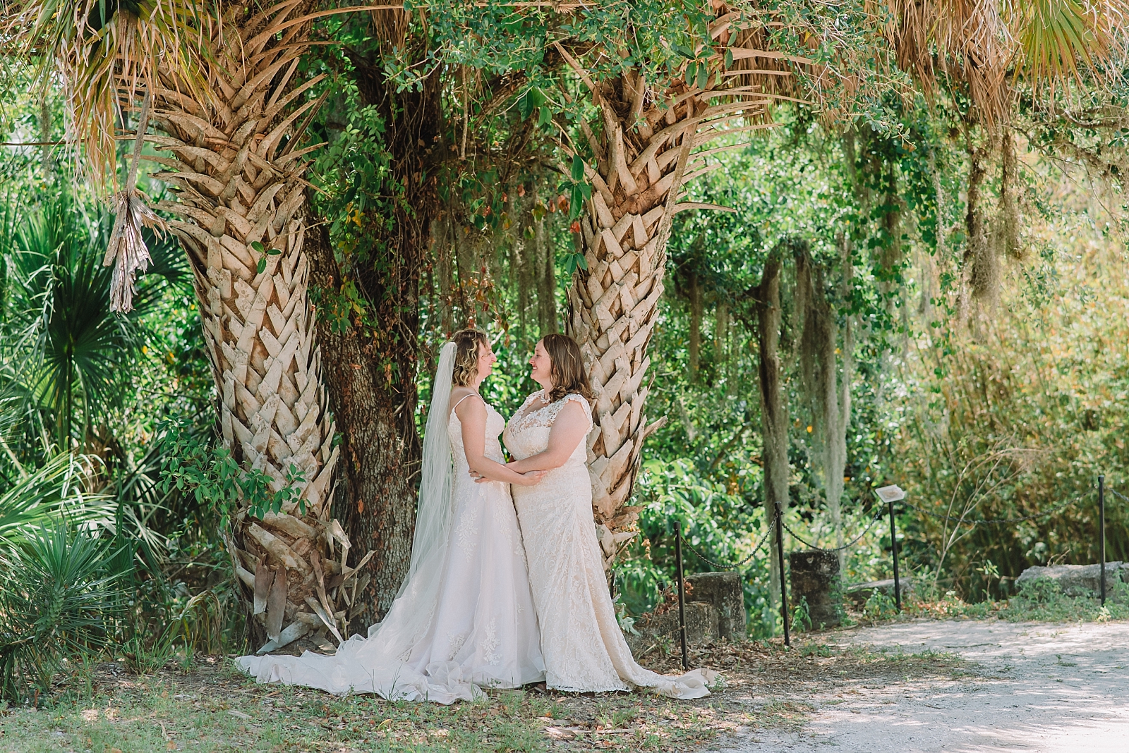 beautiful same sex couple under palm trees