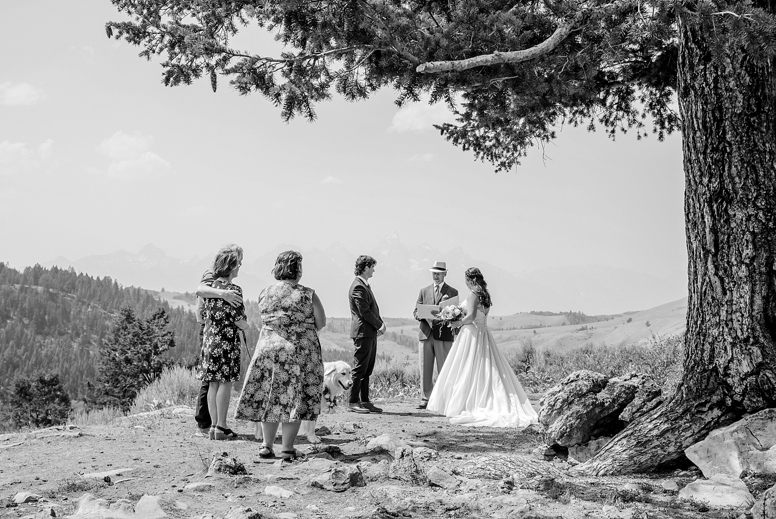 destination elopement at wedding tree