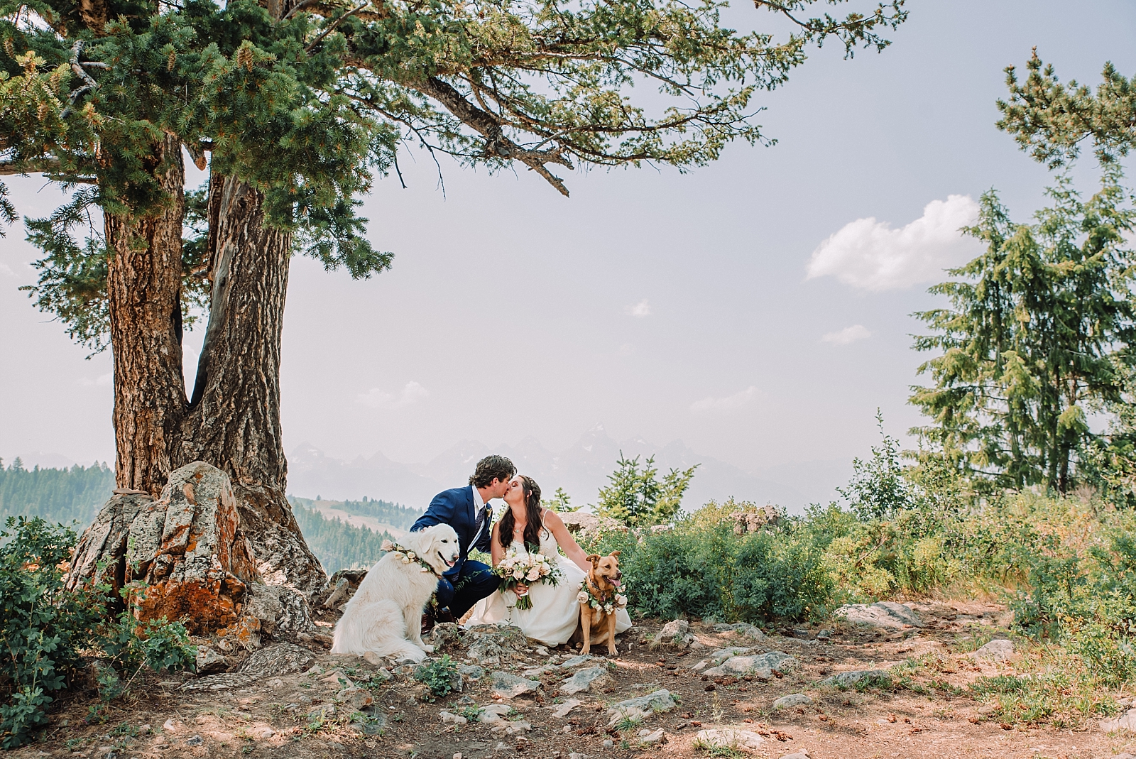 married couple with their dogs on wedding day elopement photography