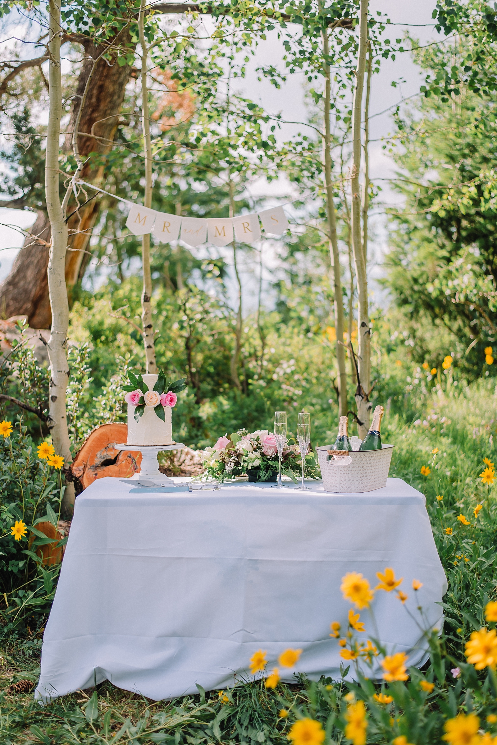 cake and champagne table in mountain forest wedding