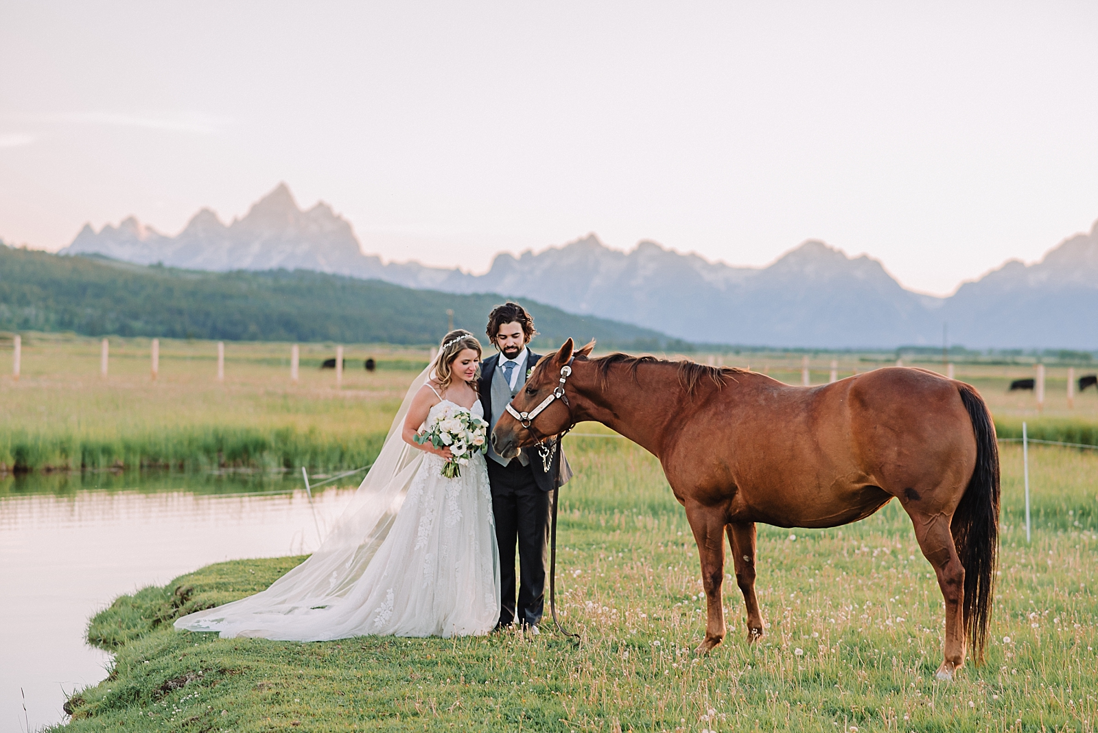 bride and groom on wedding day with the sunset and horse