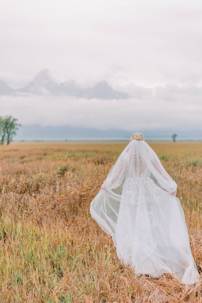 bride with veil and wedding dress