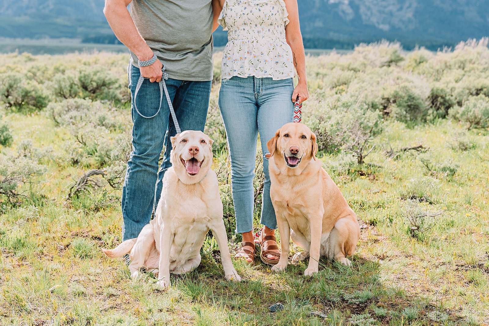 couple with dogs celebrates their Jackson Hole anniversary portraits