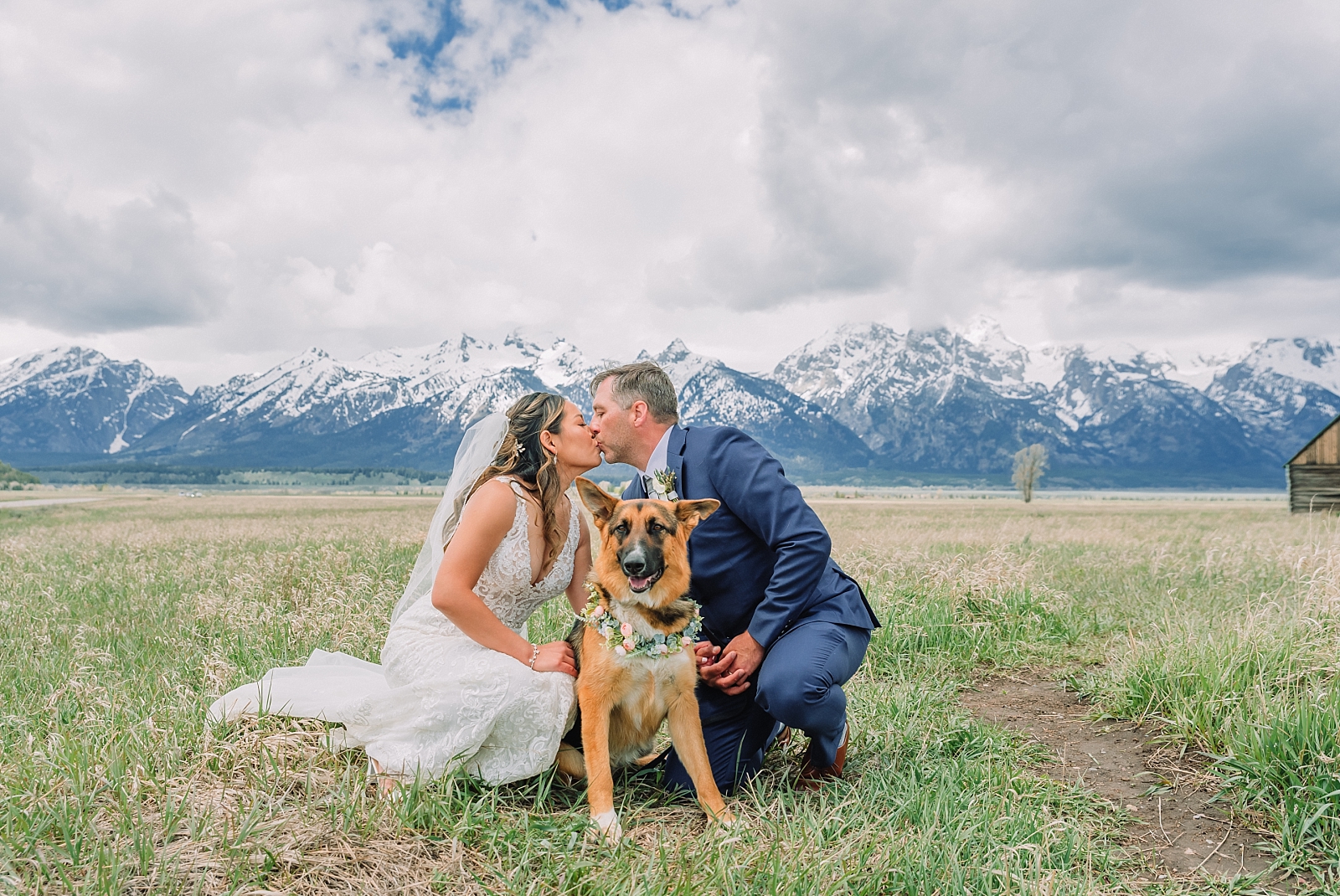 including your dog in your wedding photos, grand teton national park elopement photography