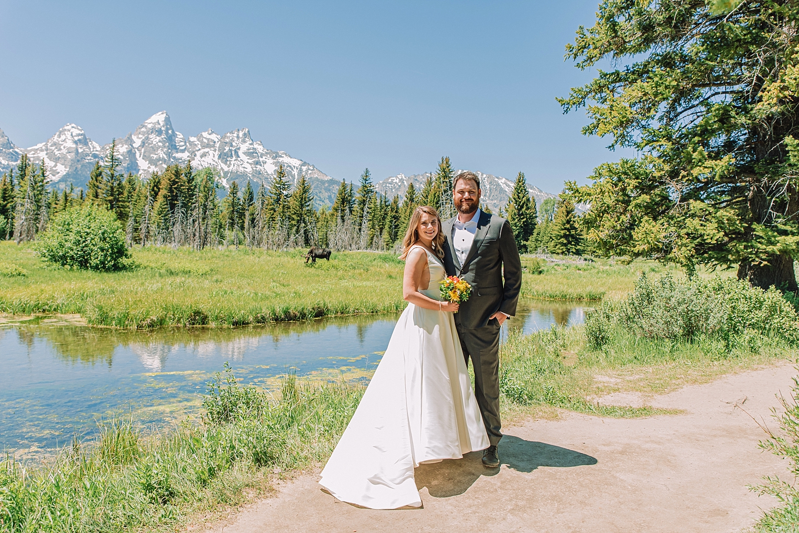 wedding couple gets photobombed by a moose in grand teton national park