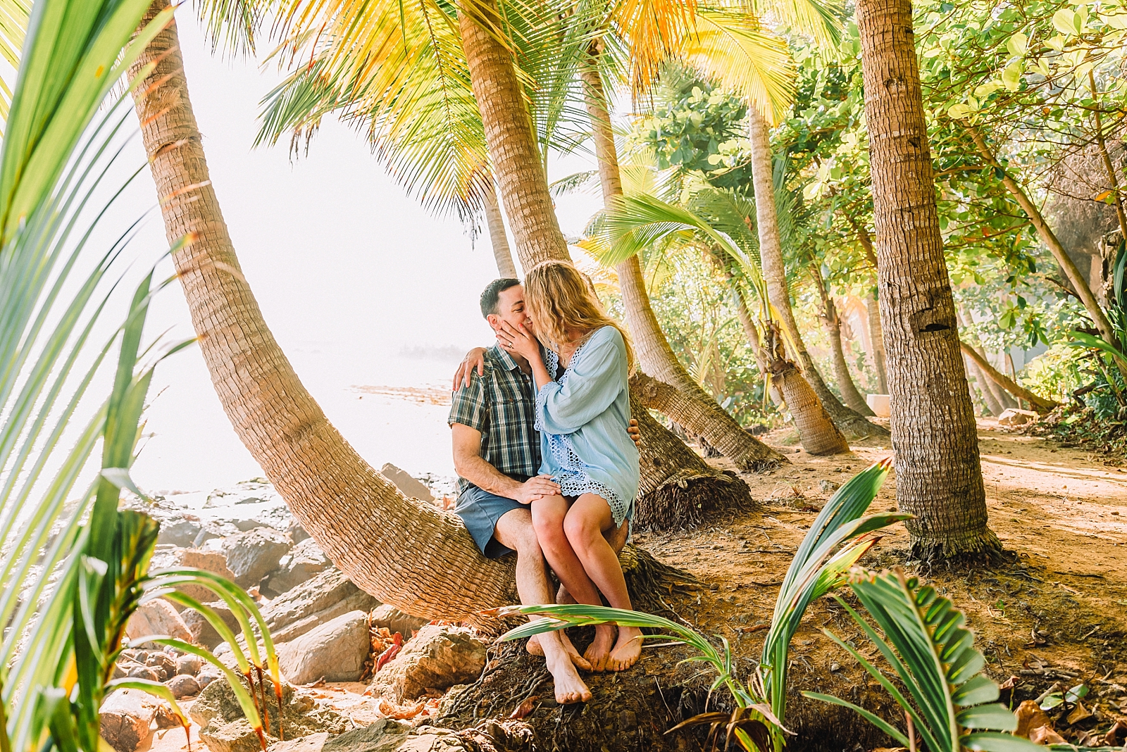 couple kisses while sitting in a palm tree, puerto rico photographer