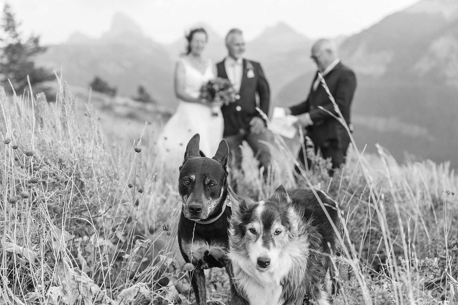 Teton Hiking Elopement, Victor Idaho Wedding Photography, Teton Wedding Photographer, Jackson Hole, Grand Tetons, Destination Hiking wedding, dog friendly hikes, wedding including dogs