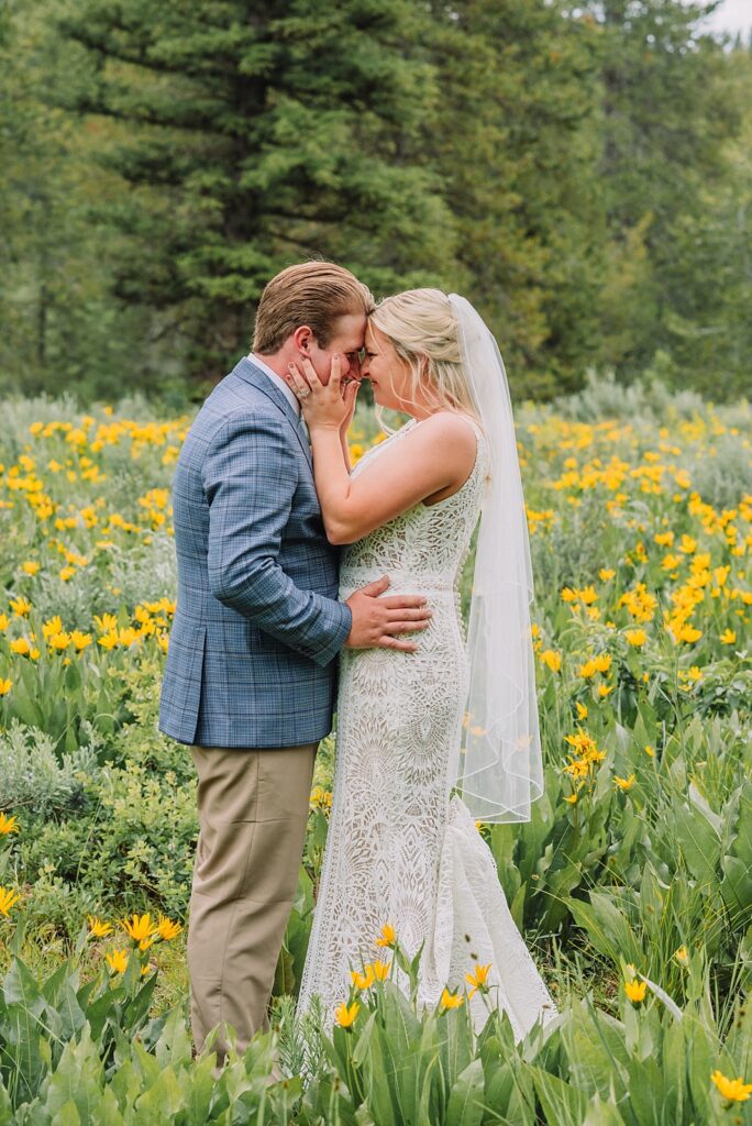 Mesa Falls wedding pictures, Island Park Wedding Photographer