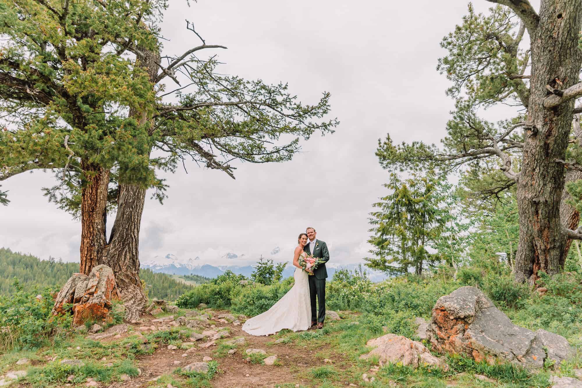 Wedding Portraits for Bride and Groom at the Wedding Tree