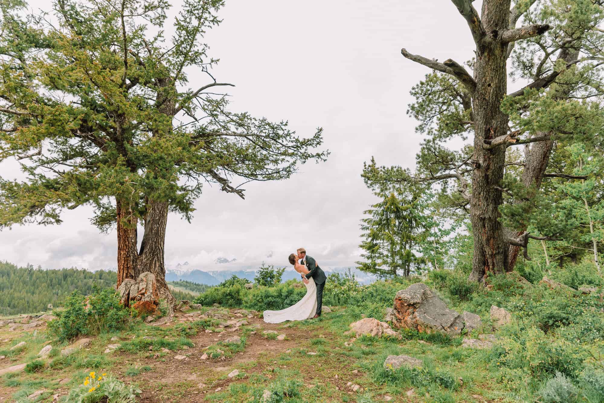 Wedding Portraits for Bride and Groom at the Wedding Tree