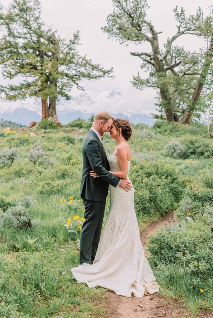 Wedding Portraits for Bride and Groom at the Wedding Tree