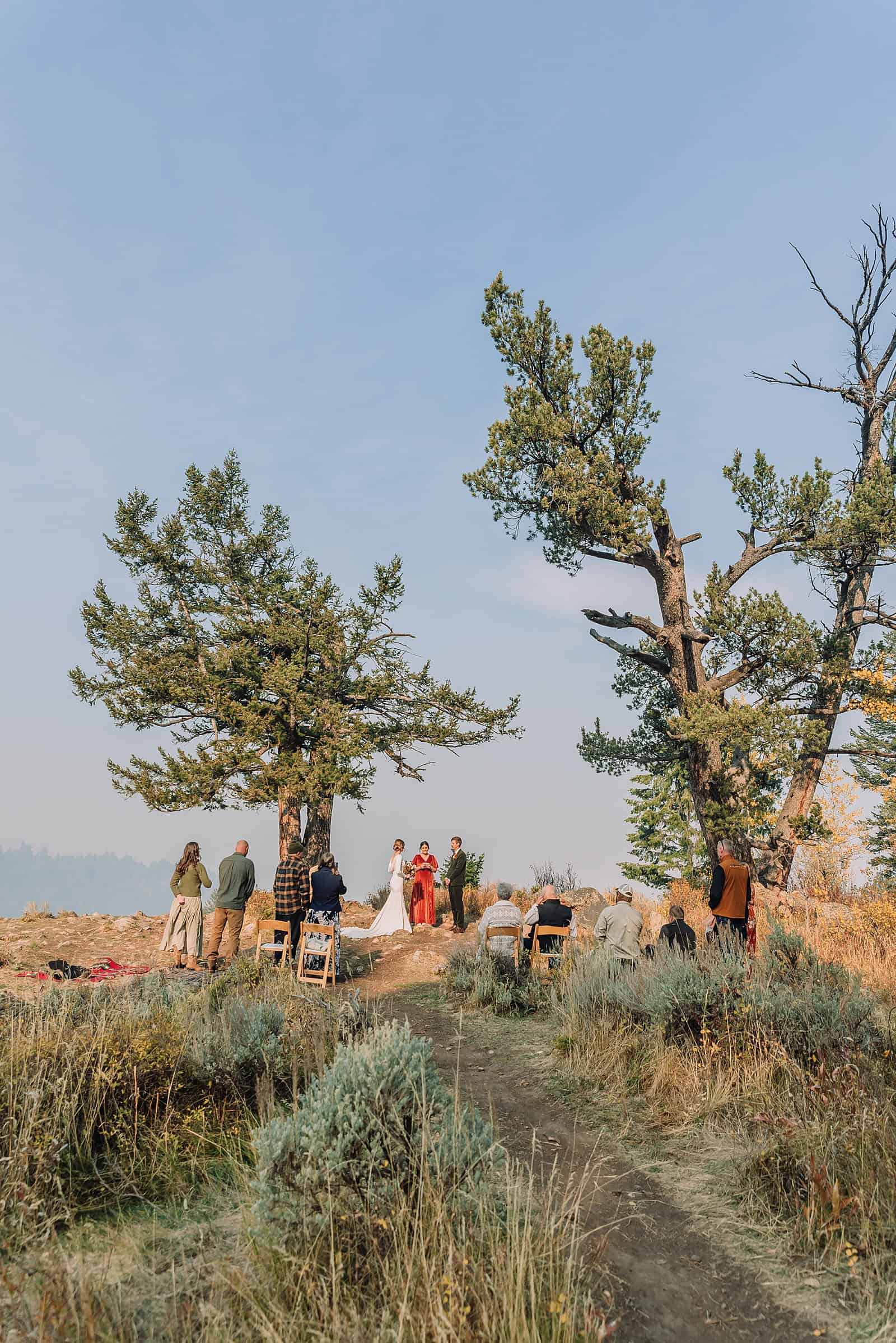eloping in jackson hole wyoming wyoming elopement photographer micro wedding jackson hole jackson hole wedding photographers elopement jackson hole wyoming small wedding jackson hole the wedding tree in bridger teton national forest morning wedding fall wedding Autumn wedding in Jackson Hole