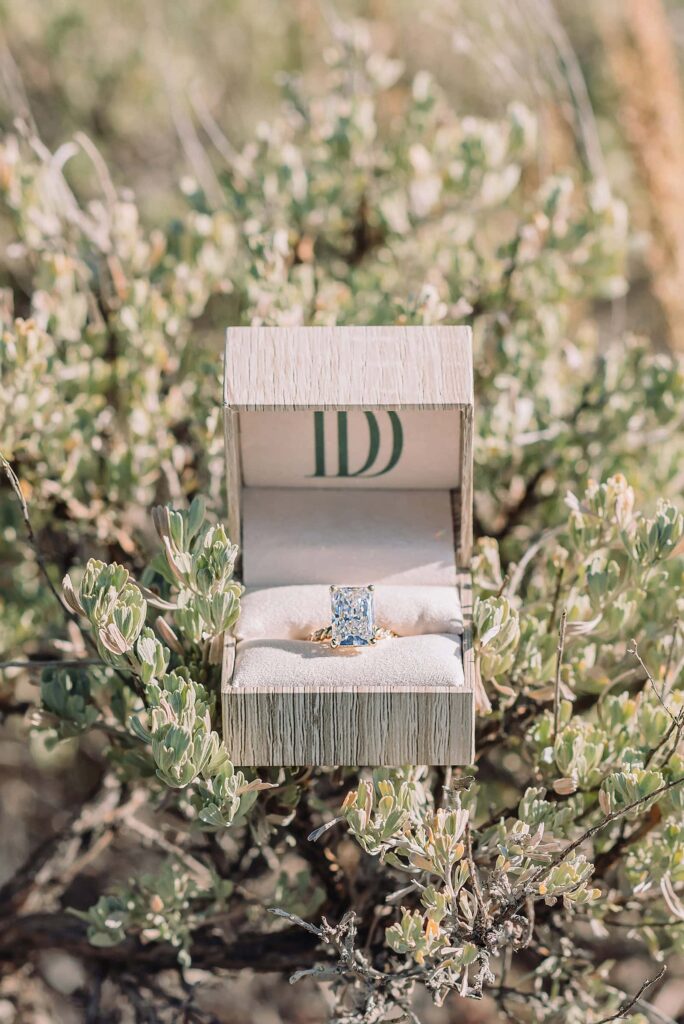 October proposal session in Jackson Hole Blacktail Ponds Overlook engagement photos mid-day proposal photography Grand Tetons fall proposal photographer Jackson Hole Wyoming