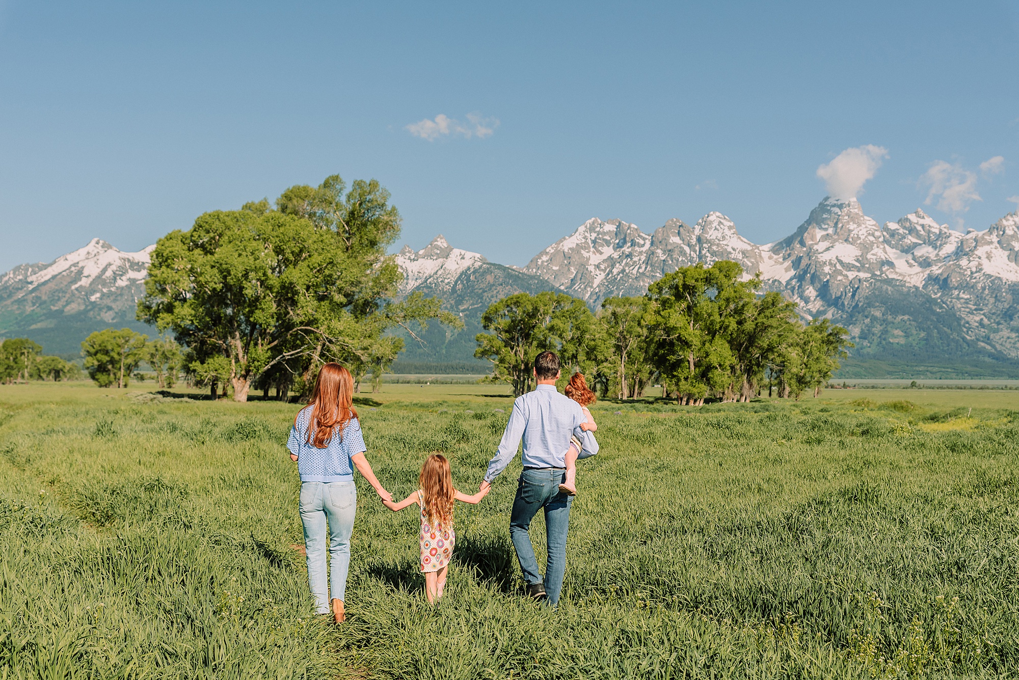 Grand Teton family photographer Mormon Row family photos at Mormon Row Wyoming Grand Tetons family photography June Mormon Row lupine family session Jackson Hole family photographer summer